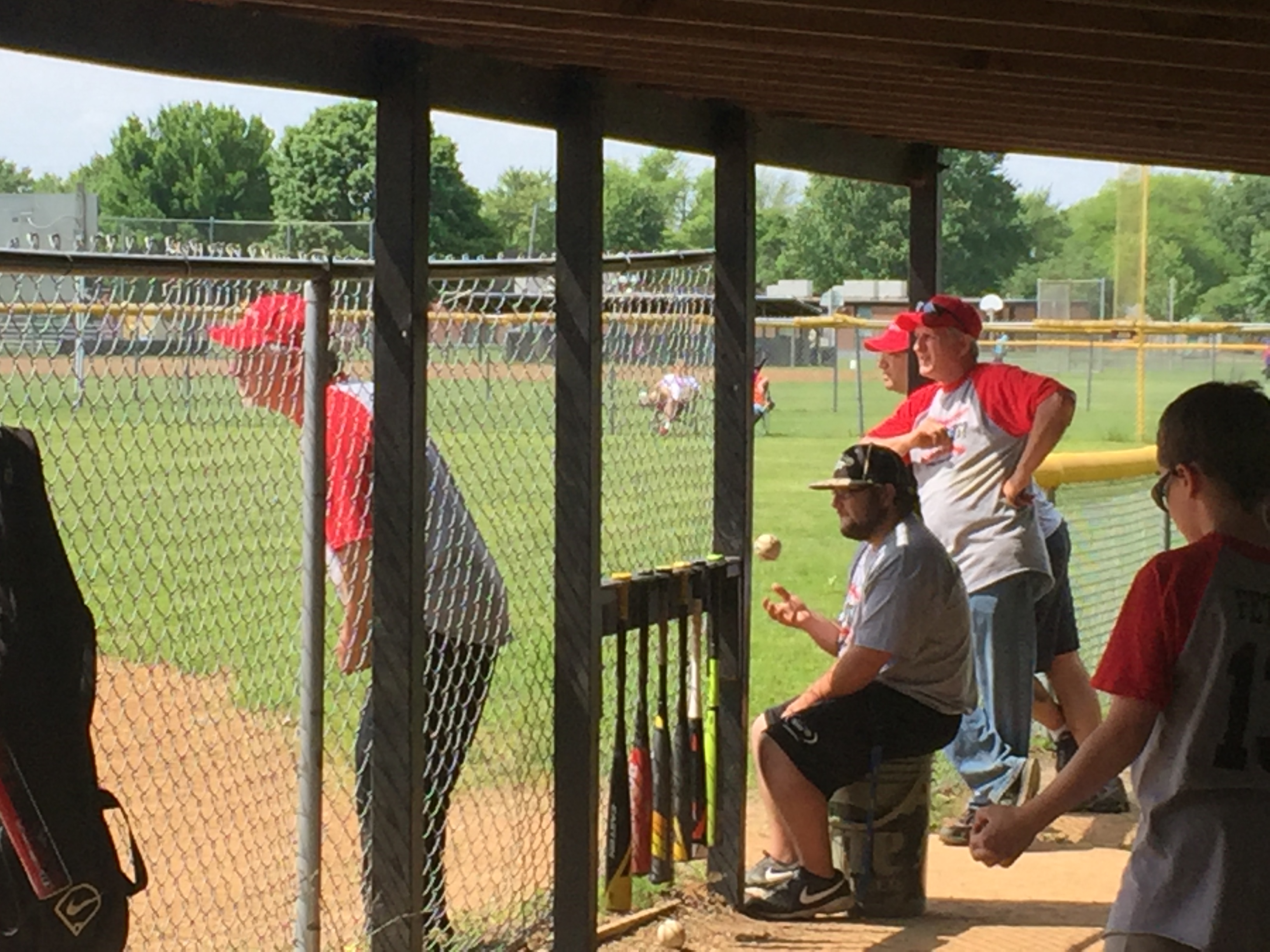 Team Sponsor, Baseball Team Springfield IL